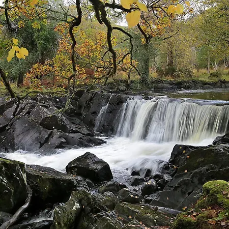 Innisfallen